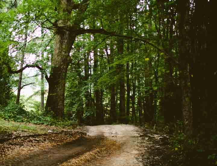电话轰炸机网页版