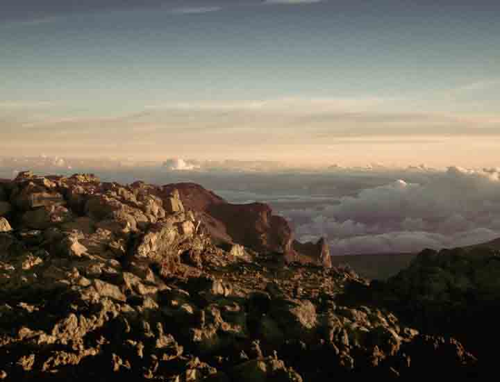 网络手机号呼叫软件免费版