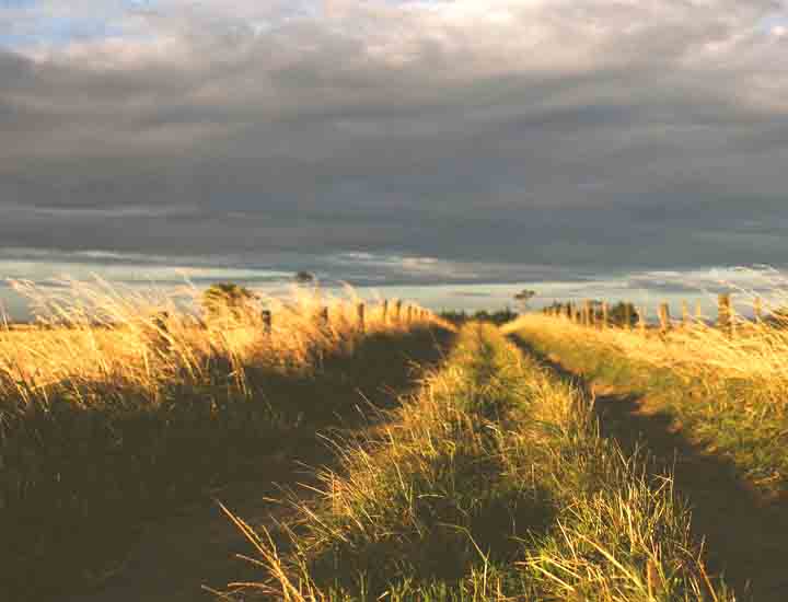 手机号测压网页